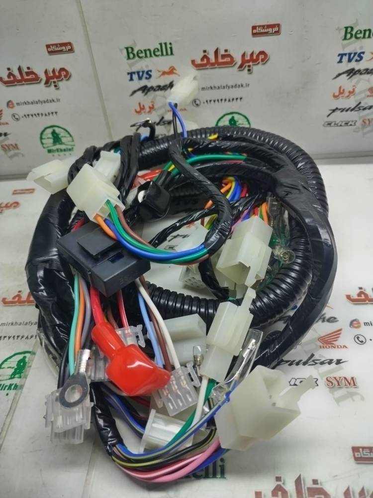 IMG_20251013_103056 IMG 20251013 103056